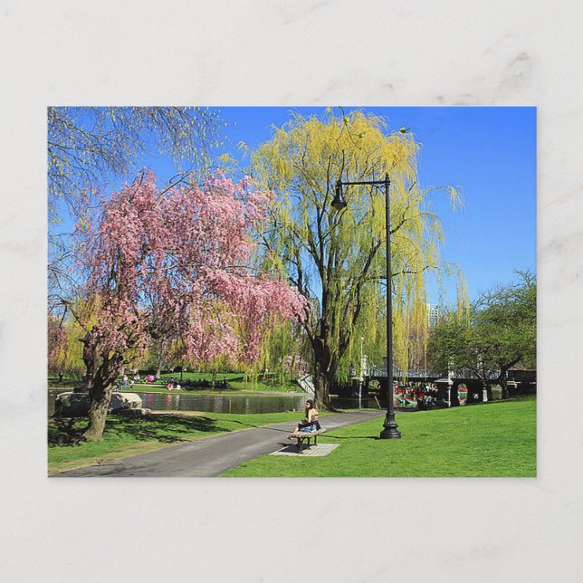 Boston, Massachusetts - Boston Gardens Post Card (Front)