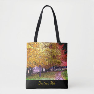 Boston, Massachusetts Fall Foliage  Tote Bag