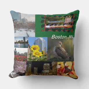Boston, Massachusetts Throw Pillow
