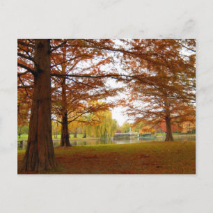 Boston Postcard