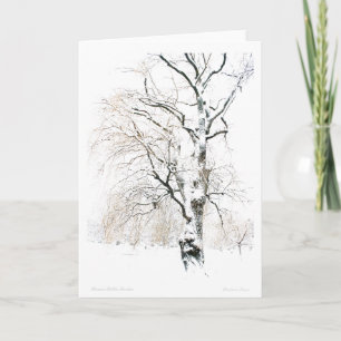 Boston Public Garden Holiday Card