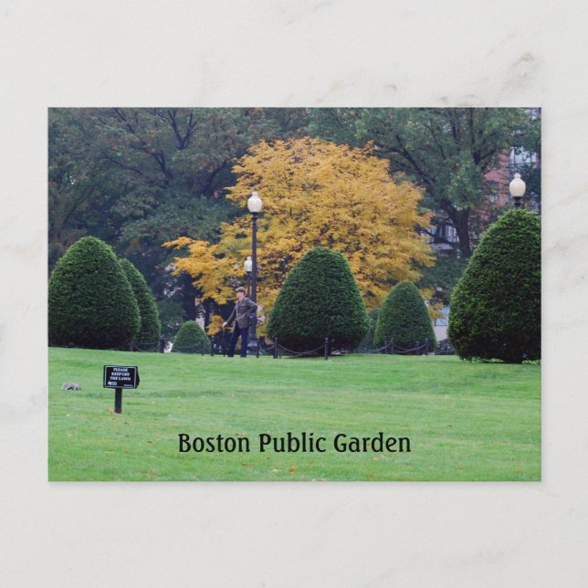 Boston Public Garden Postcard (Front)