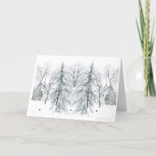 Boston Public Garden:Simple Pleasures of theSeason Holiday Card