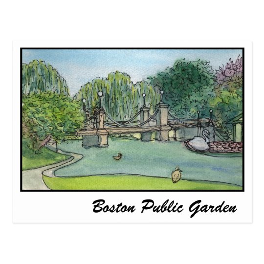 Boston Public Garden Swan Boats Postcard