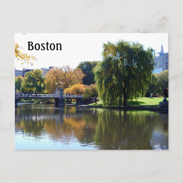 Boston Public Gardens, Massachusetts Postcard (Front)