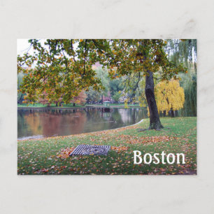 Boston Public Gardens Postcard