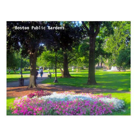 Boston Public Gardens Postcards