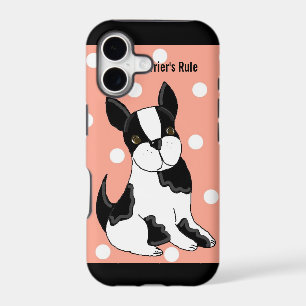 Boston Terrier