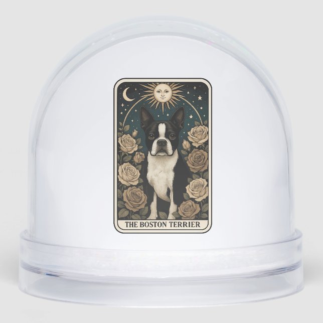 Boston Terrier (Avant)