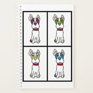 Boston Terrier