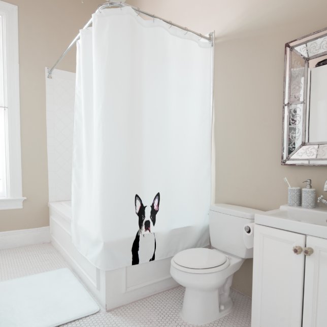 Boston Terrier (In Situ)