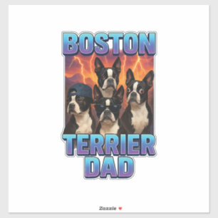 Boston Terrier