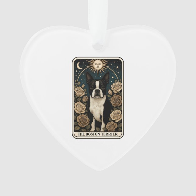 Boston Terrier (devant)