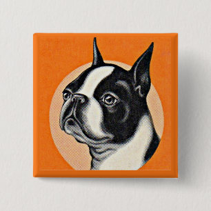 Boston terrier 2 inch square button