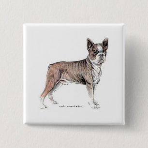 Boston Terrier 2 Inch Square Button