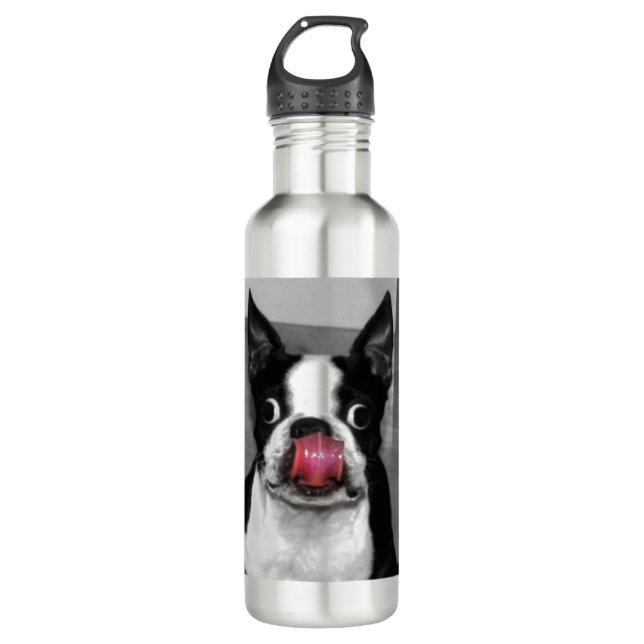 Boston Terrier 710 Ml Water Bottle (Front)