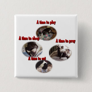 Boston Terrier: A Time 2 Inch Square Button