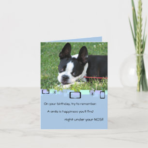 Boston Terrier All Occasion Greeting Card