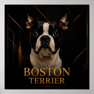 Boston Terrier American Classic Collection Poster
