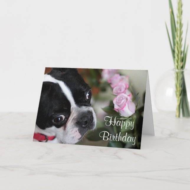 Boston terrier and flowers card (Front)