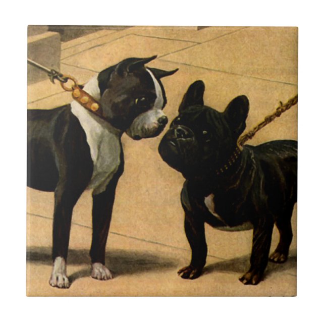 Boston Terrier and French Bulldog Tile (Front)