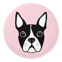Boston terrier any colour background
