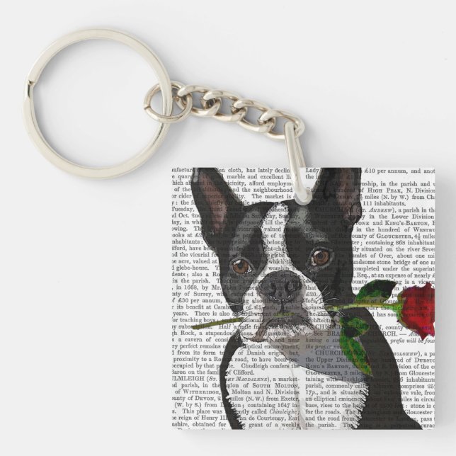 Boston Terrier avec Rose à la bouche (Devant)