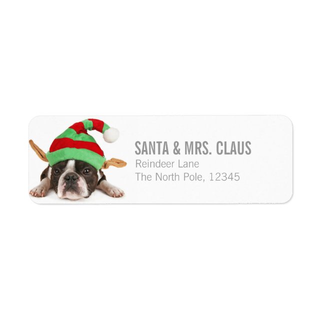 Boston Terrier Avec Un Casquette De Noël (Devant)