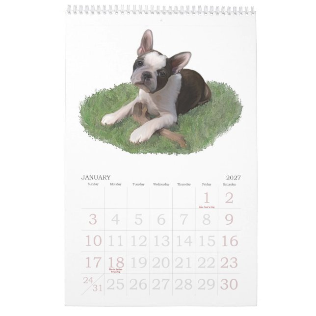 Boston Terrier Babies Calendar (Jan 2027)
