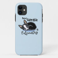 Boston Terrier Being Adorable