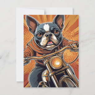 Boston terrier Biker  Postcard