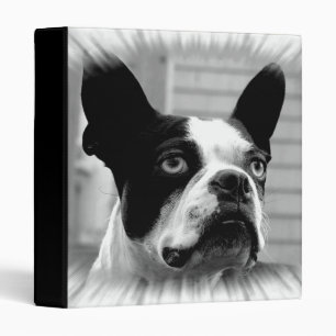 Boston Terrier Binder