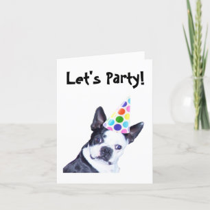 Boston Terrier Birthday Party Invitation
