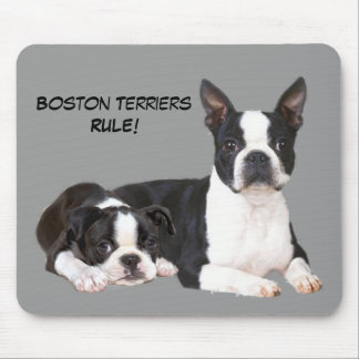 Boston Terrier Buddies Mousepad