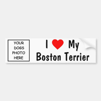 Boston Terrier Bumper Sticker