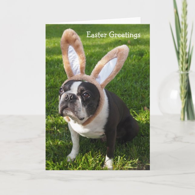 Boston Terrier Bunny Pâques Carte de voeux 2 (Devant)