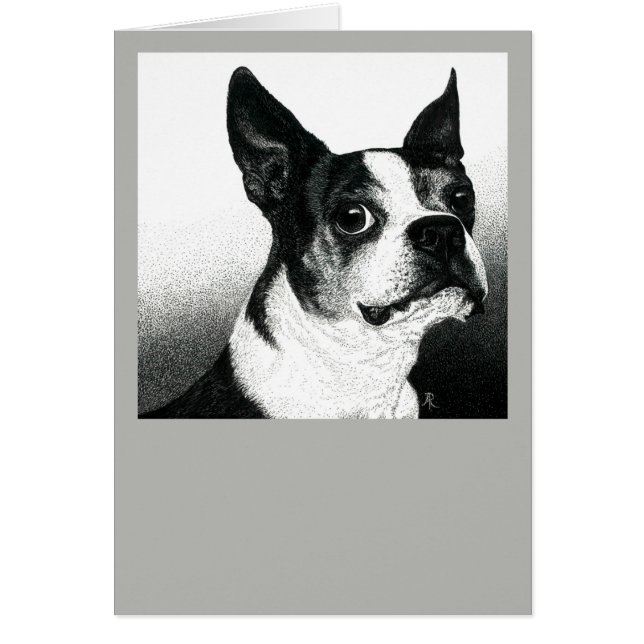 Boston Terrier Card - "Boston Style" (Devant)