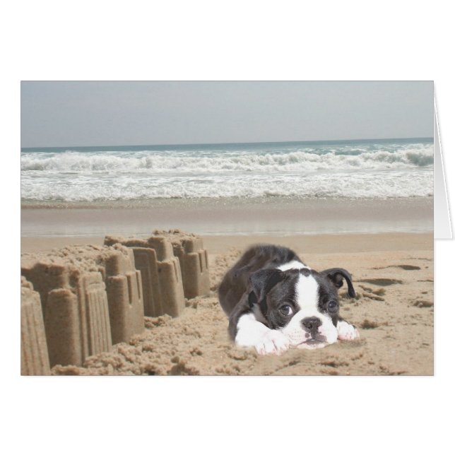 Boston Terrier Card Sandcastles (Front Horizontal)