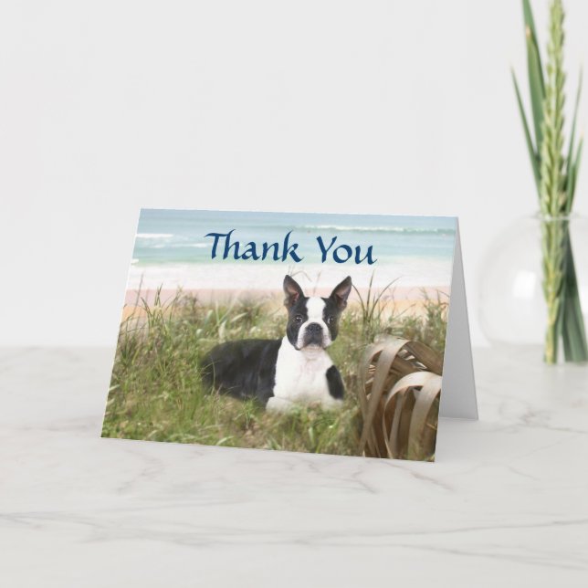 Boston Terrier Carte de remerciements Beachgrass (Devant)