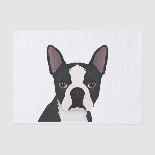 boston terrier cartoon tissue paper (Front)