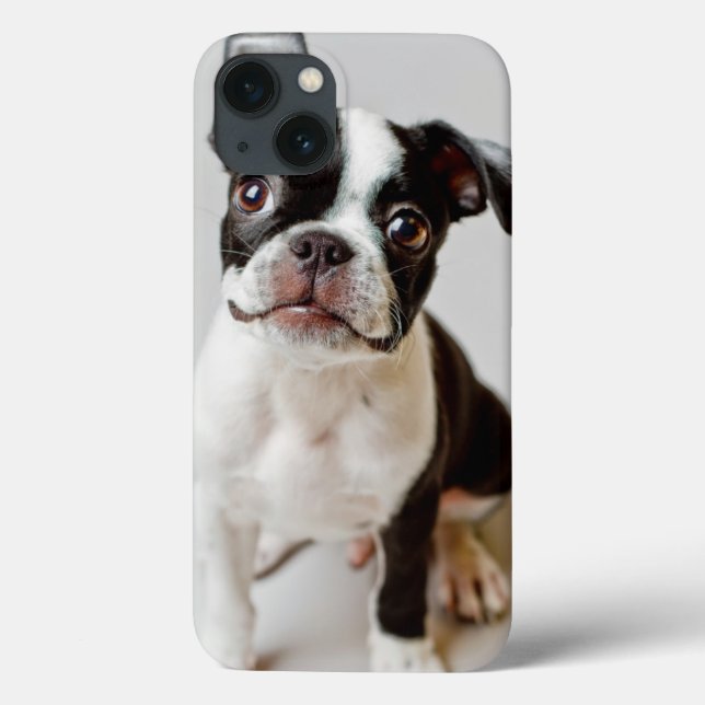 Boston Terrier Case-Mate iPhone Case (Back)