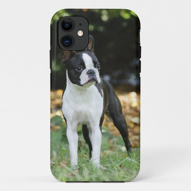 Boston terrier Case-Mate iPhone case (Back)