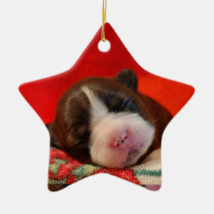 Boston Terrier Ceramic Ornament