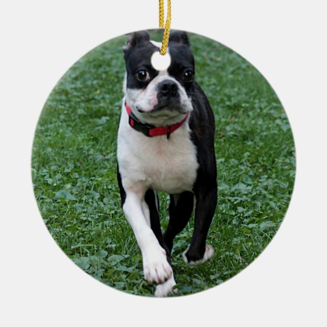 Boston terrier ceramic ornament (Front)