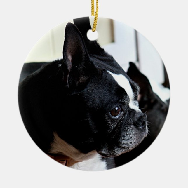 Boston terrier ceramic ornament (Front)