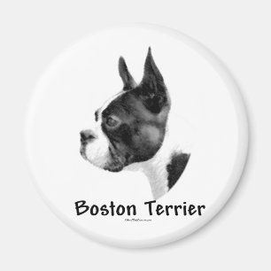 Boston Terrier Charbon 2 - Magnet