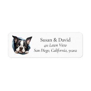 Boston Terrier Chien race Amateurs d'animaux de co