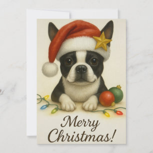 Boston Terrier Christmas Card