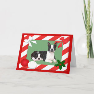 Boston Terrier Christmas Card Frame