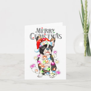 Boston Terrier Christmas Lights Xmas Dog  Card